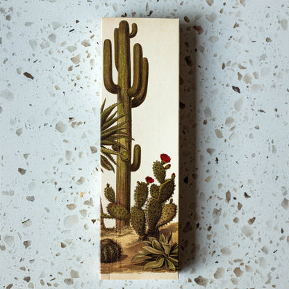 Cacti Desert Tall Matches