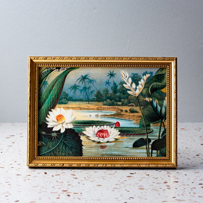 Water Lilies in Gold Ornate Frame