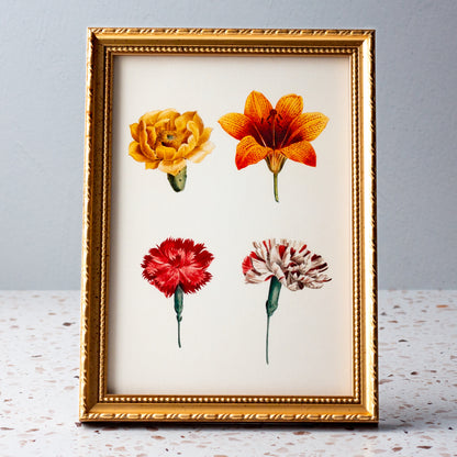 Four Spring Flowers in Gold Ornate Frame