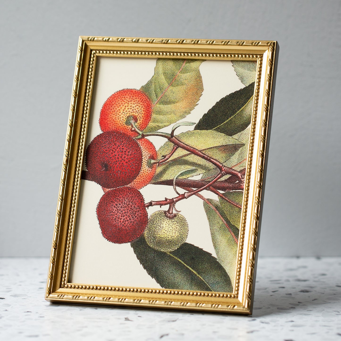 Arbutus Strawberry Tree in Gold Ornate Frame