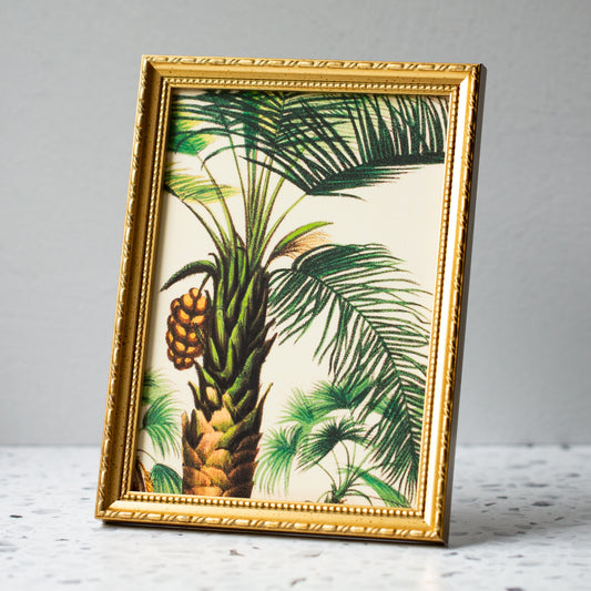 Attalea Compta Palm in Gold Ornate Frame