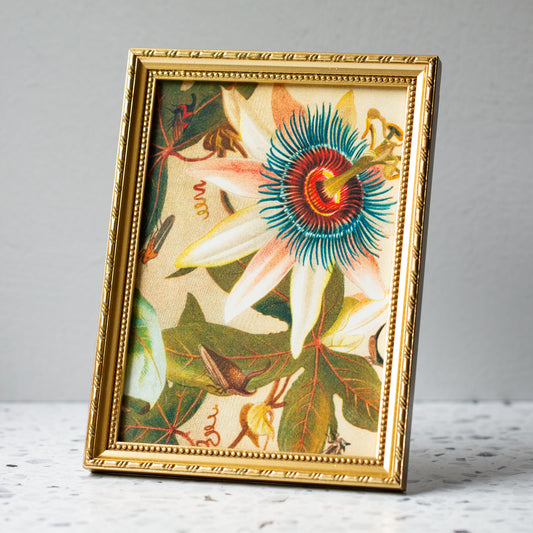 Flower and Cicadas in Gold Ornate Frame