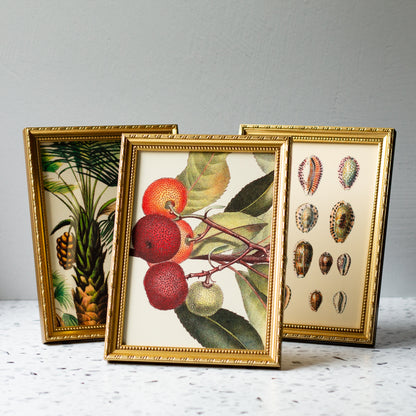 Four Spring Flowers in Gold Ornate Frame