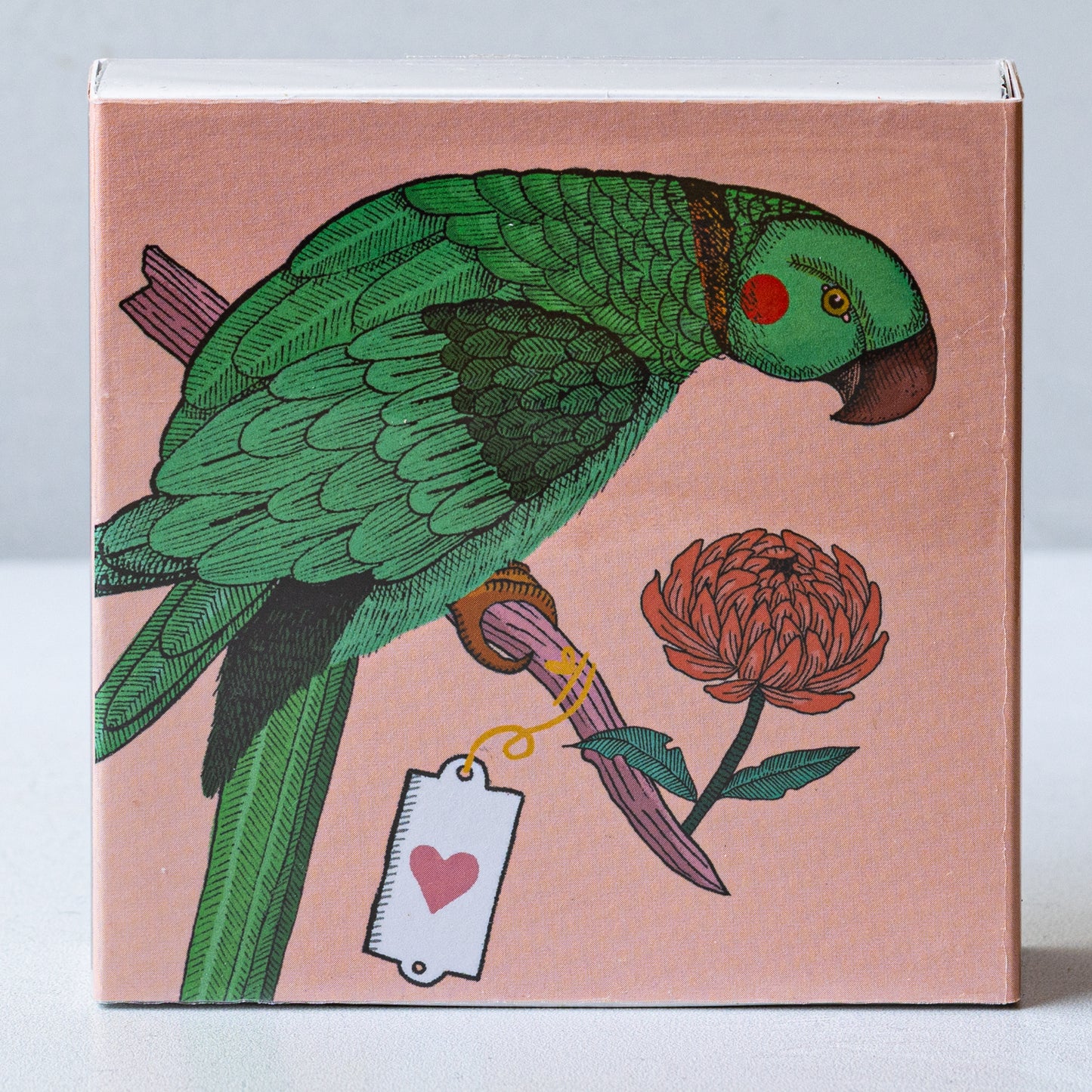 Ariane Butto Parrot Sustainable Matches & Matchbox