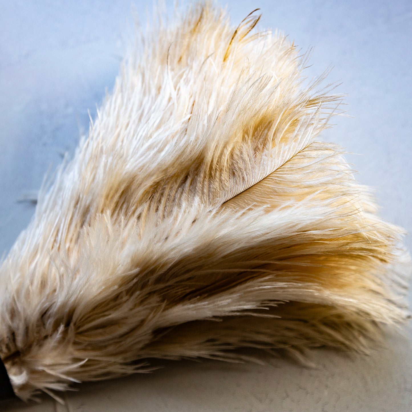 Redecker Ostrich Feather Duster with Beechwood Handle